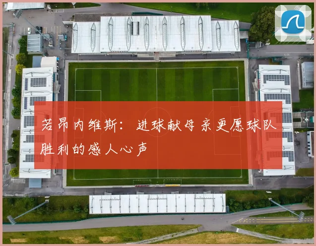 若昂内维斯：进球献母亲更愿球队胜利的感人心声