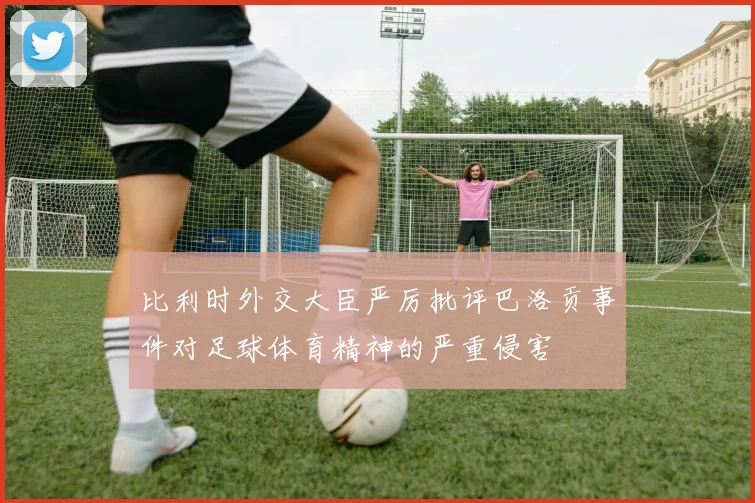 比利时外交大臣严厉批评巴洛贡事件对足球体育精神的严重侵害