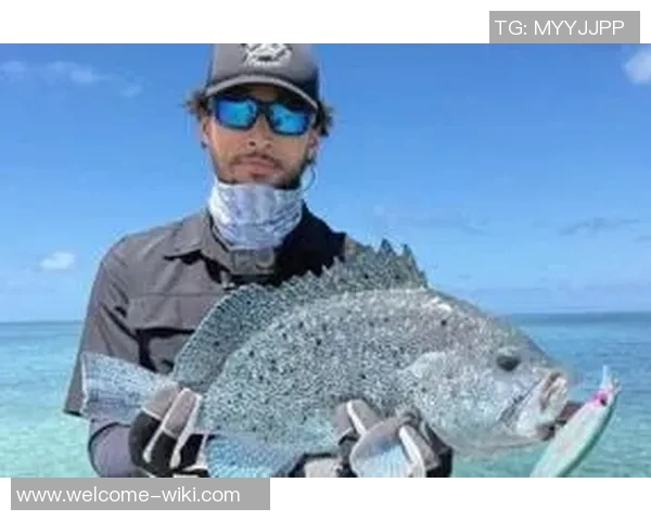 即将步入而立之年的西蒙斯钓鱼是否在为重返联盟做好准备